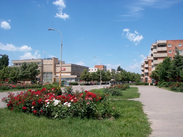 Photograph